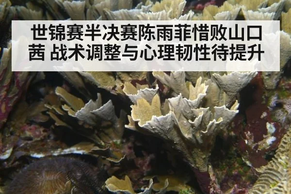 世锦赛半决赛陈雨菲惜败山口茜 战术调整与心理韧性待提升